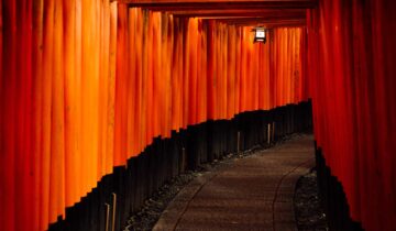 From the countries Vokalia and Consonantia